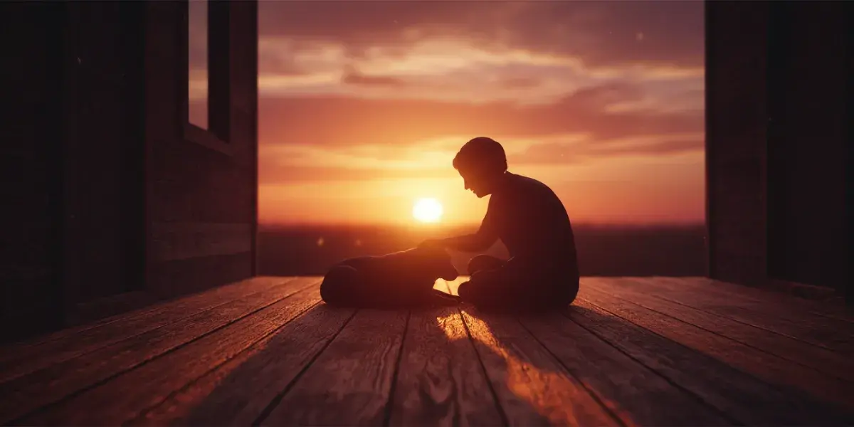 Cuidados Essenciais com Cães Idosos