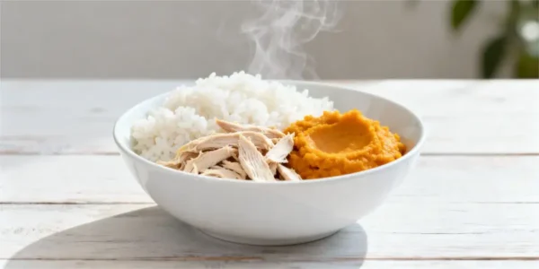 Receita caseira segura para diarreia leve em cães