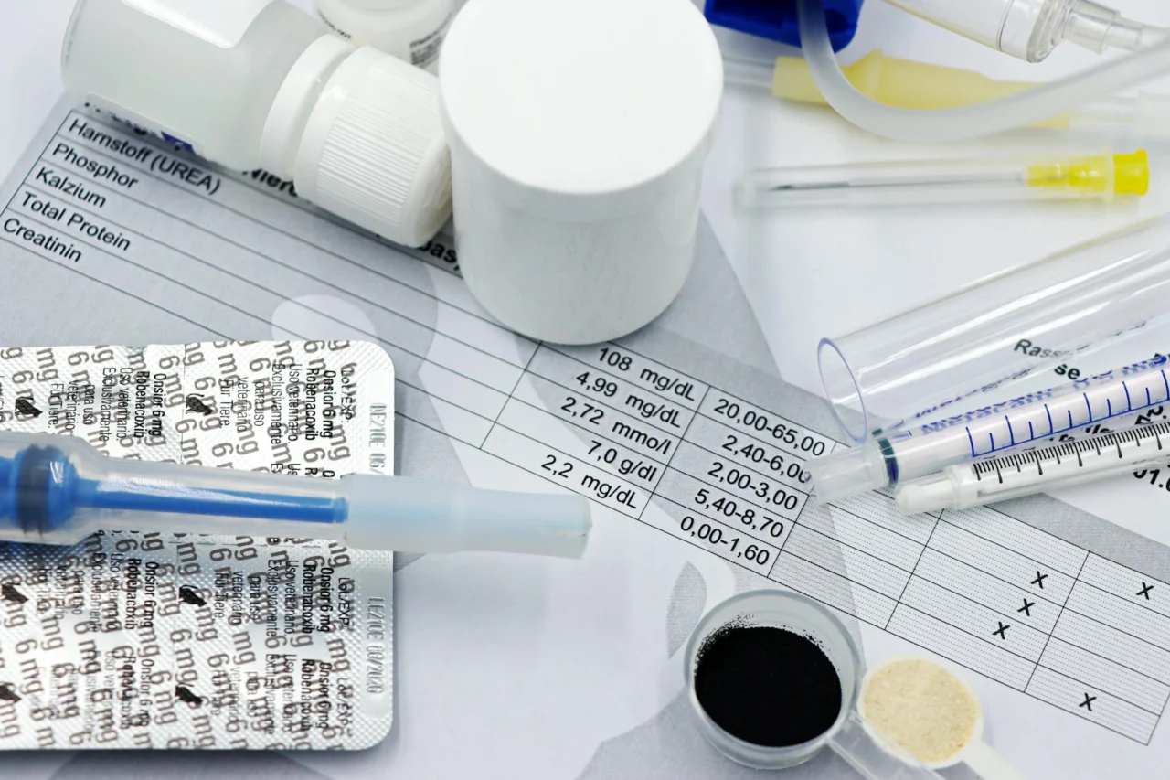 papinha caseira para cachorro idoso sem dentes