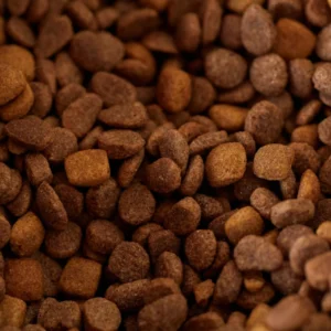 Banho A Seco Para Cães