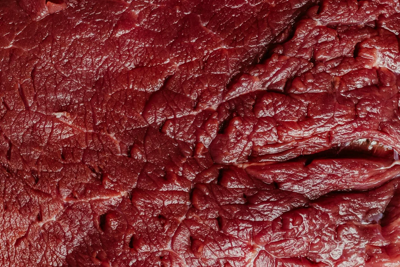 Carne Muscular