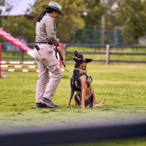 Treinador Canino