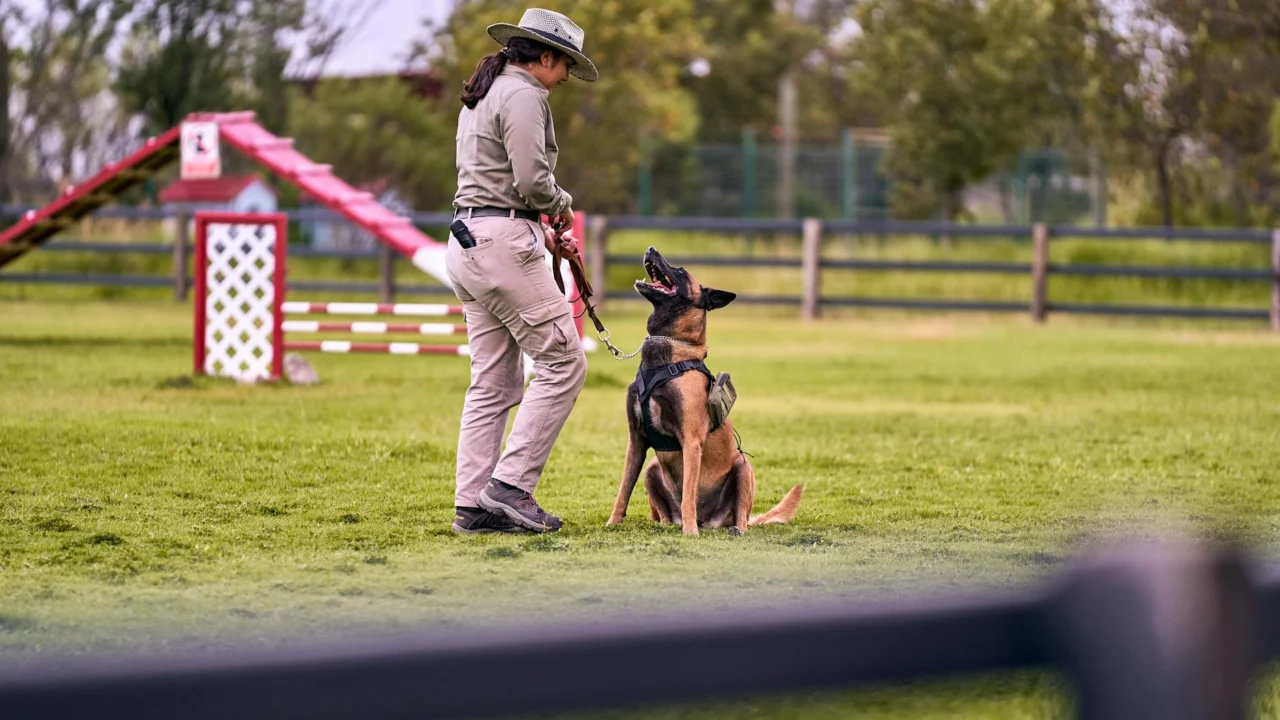 Treinador Canino